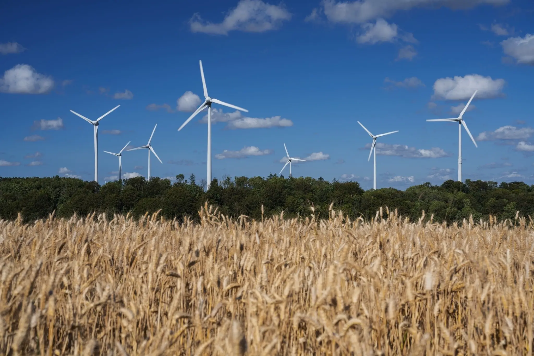 Image Iberdrola signe un accord avec Agrati pour décarboner sa production industrielle en France